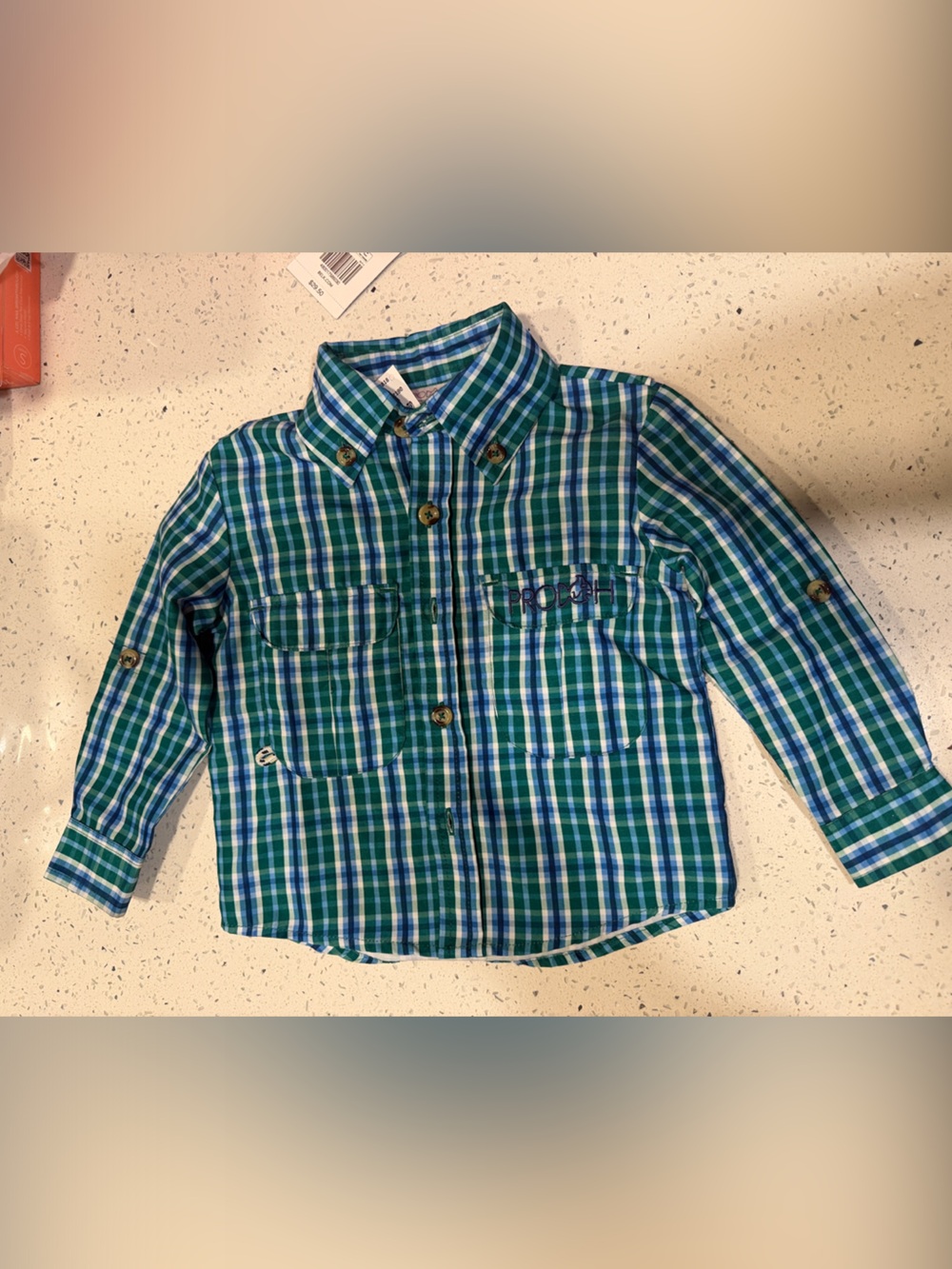 Boys Green & Blue Plaid Button-Down Shirt